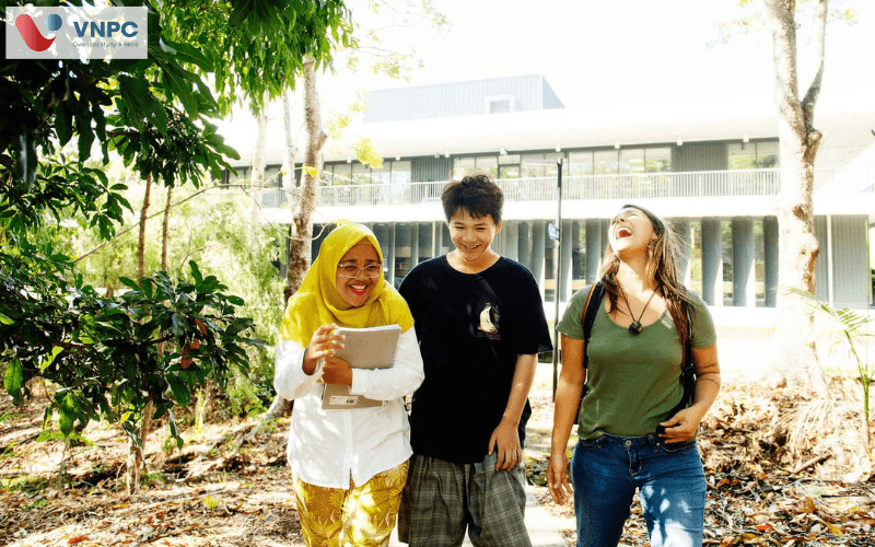 southern cross university